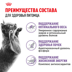 Сухой корм Royal Canin Sterilised 7+ для стерилизованных кошек в возрасте от 7 до 12 лет, 3,5 кг